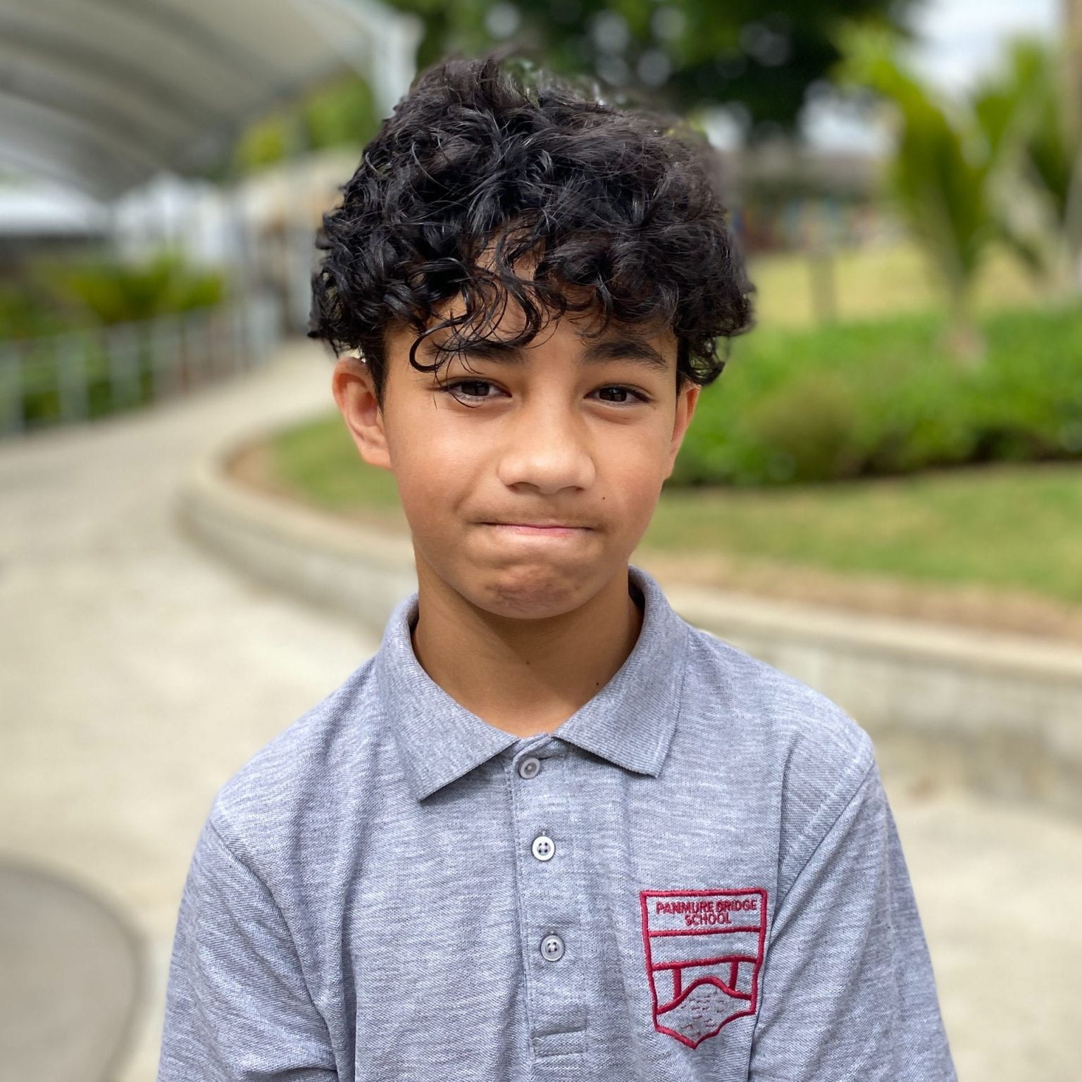 matariki-fern-panmure-bridge-school